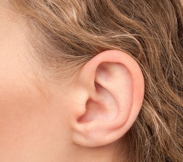 הצמדת אוזניים